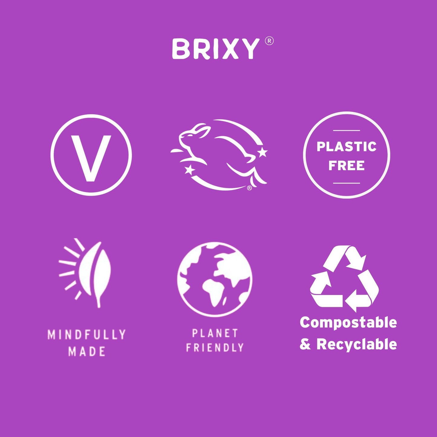 BRIXY Body Wash Bar - Coconut Vanilla