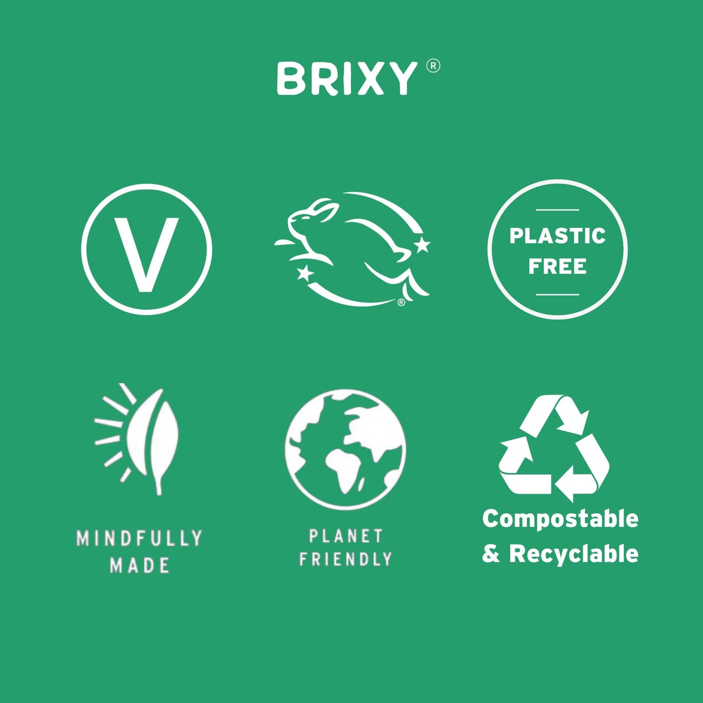 BRIXY Body Wash Bar - Mint Eucalyptus