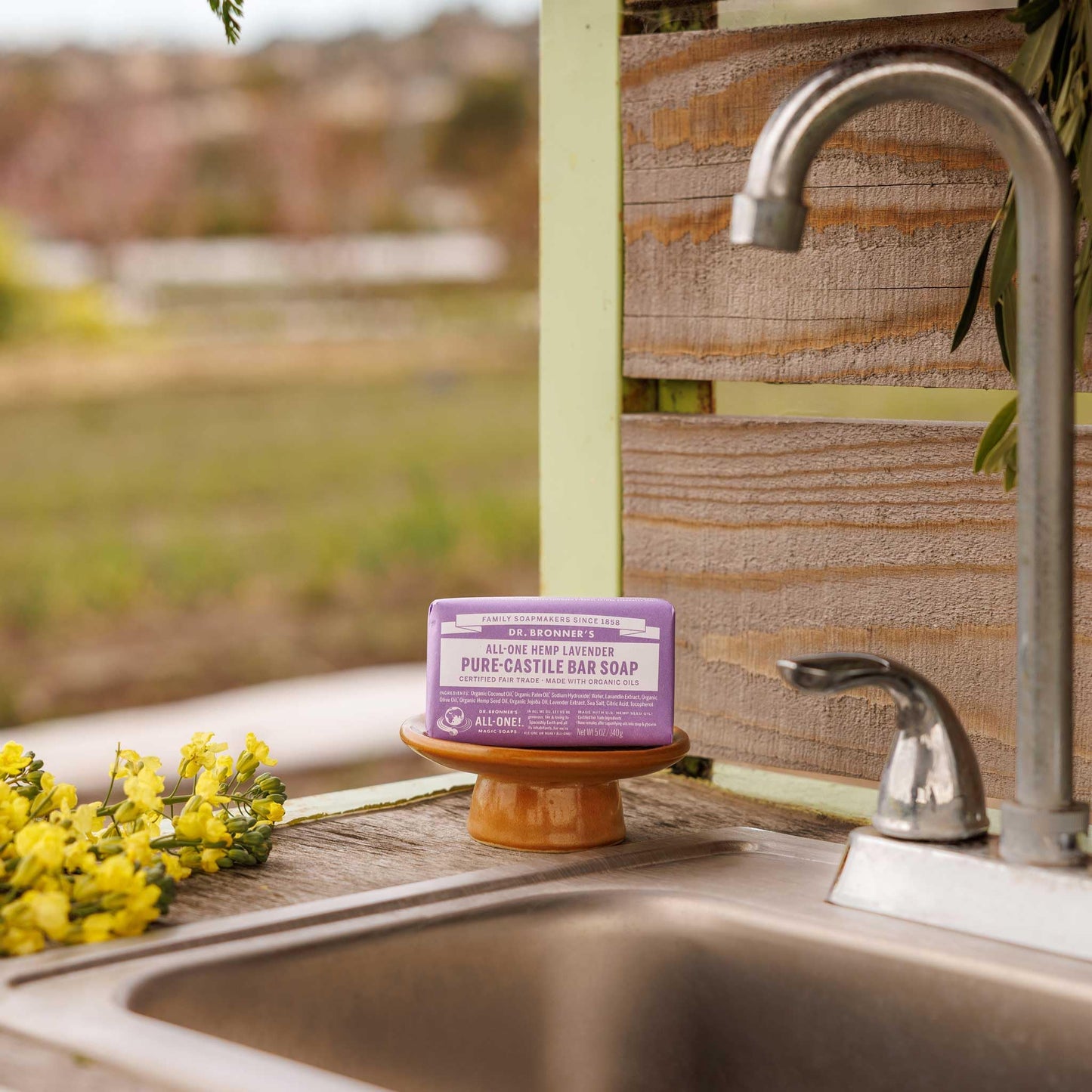 Dr. Bronner's Pure-Castile Bar Soap - Lavender, Pack of 2
