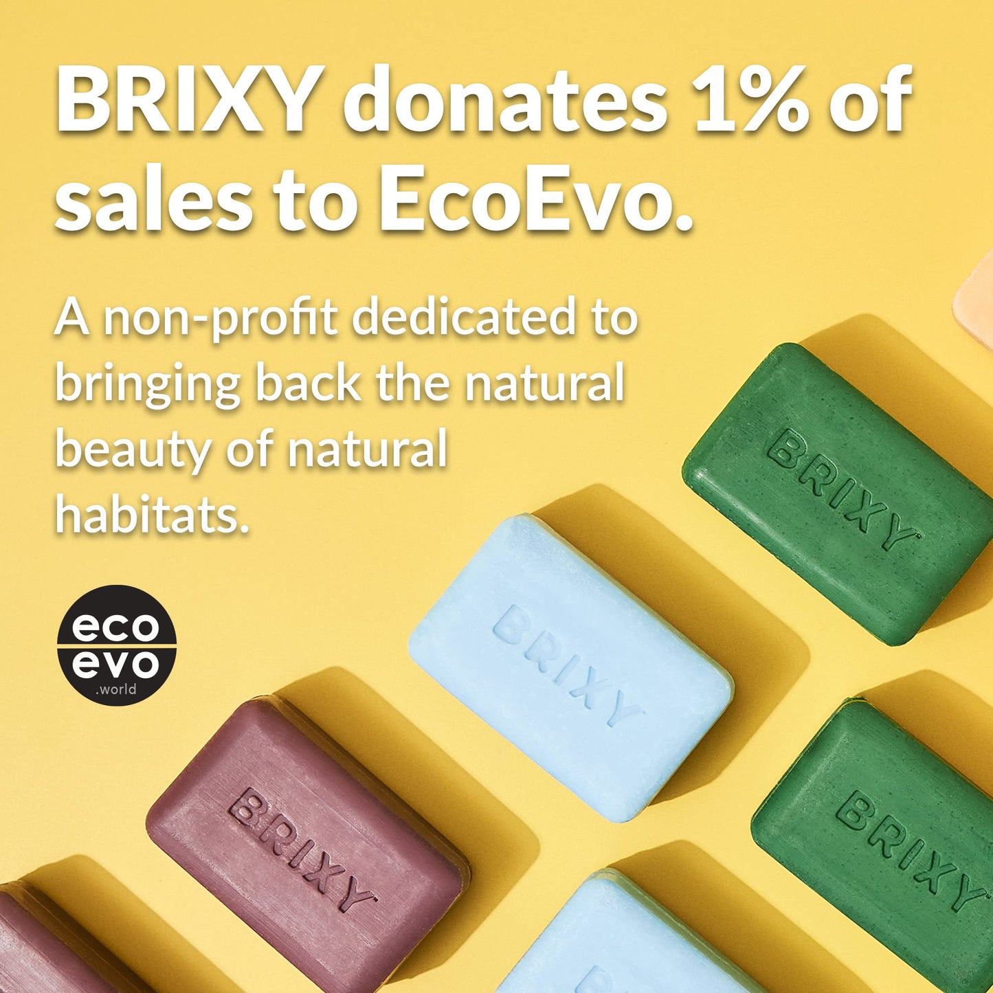 BRIXY Body Wash Bar - Coconut Vanilla